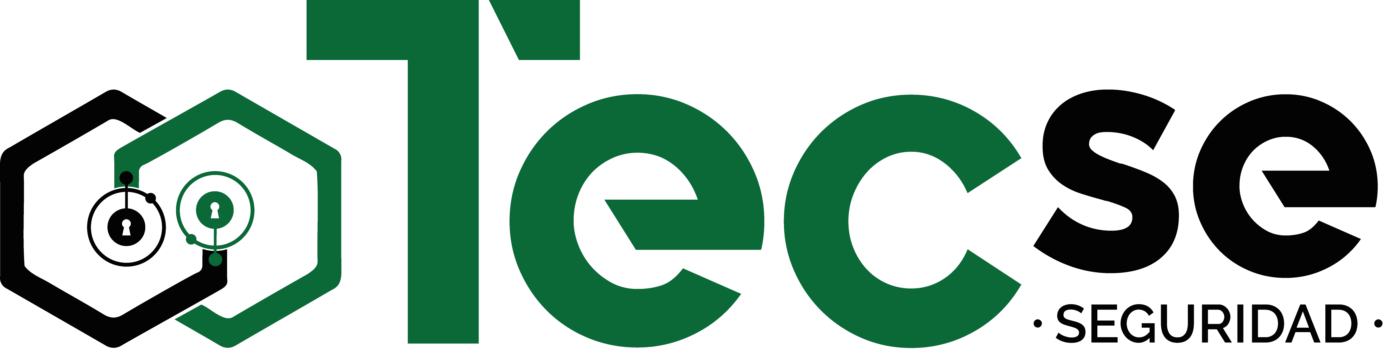 TECSE